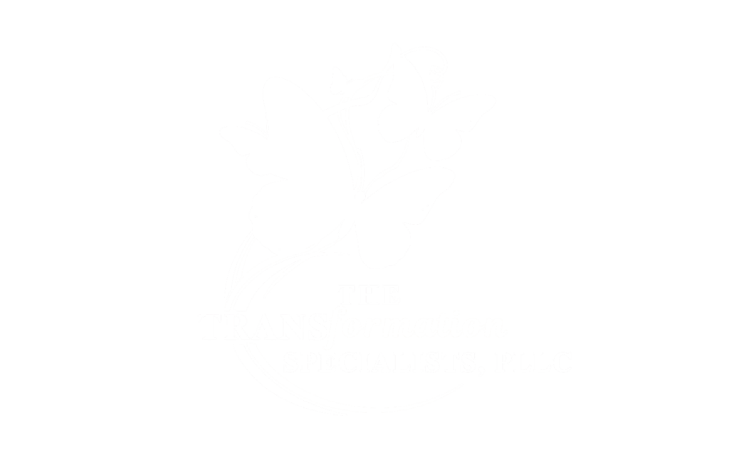 Transformation Specialists Logo Online Counseling